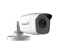 Caméra de vidéosurveillance Hd - Hd Tvi - Type de balle