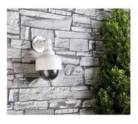 VisorTech Caméra dôme factice – coupole transparente et support mural