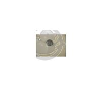 CAMPINGAZ Bouton X2 3-4 séries RBS barbecue 5010002245