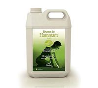 Camylle - Brume de Hammam Eucalyptus - Fragrances à base d'Huiles Essentielles pour Hammams, Bains de Vapeur ou Douches Hammam - Respiratoire aux arômes frais et pénétrants - 5000ml