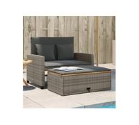 vidaXL Canapé de jardin avec coussins 2 places Gris Poly rotin & bois d'acacia