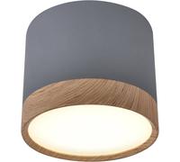 Candellux Tuba plafonnier 1x9 W gris 2275925