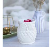 Candle Brothers Lampe à parfum Owl