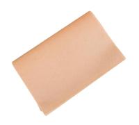 CANIGHT 100 Feuilles de Papier Sulfurisé Prédécoupé en Papier Parchemin Antiadhésif pour Cuisson Four et Friture à Air, pour Besoins Quotidiens de Cuisson