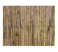 Canisse - NATURE - Roseaux fendus naturels Premium - 3 x 1 m