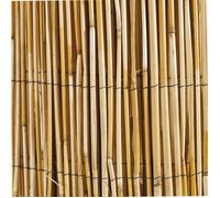 Windhager 06523 Canisse Roseau Naturel Beige 1 x 5 m