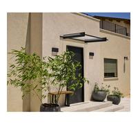 Palram Canopia Auvent de porte Nancy transparent 150,5 x 94 cm Gris anthracite