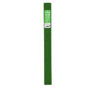 Canson 200001417 Papier graphique Vert