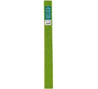 Canson 200002414 papier crêpon Vert