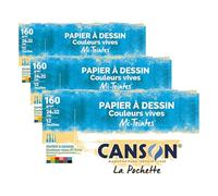 Canson - 526016 - Pochette de 12 feuilles papier dessin - 160 g - 24 x 32 cm - Assortis vifs (Lot de 3)