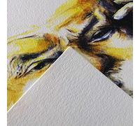 Canson C" a grain Rouleau de papier à dessin Blanc 1.5 x 10 m weiß