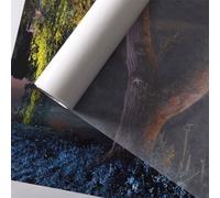 Canson Glassine 40 gram - 44 x 50 mètres