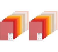 CANSON Mi-Teintes - Assortiment 10 feuilles de papier dessin A3-160g/m² - Tons chauds (Lot de 2)