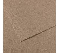 Canson Mi-Teintes Lot de 10 feuilles de papier teinté 160 g/m² Gris (Steel Grey - 431) 29,7 x 61