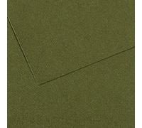 Canson Papier MI-Teintes (Nid-d'abeilles) - 10 Feuilles A3 160g/m² Vert Océan 448
