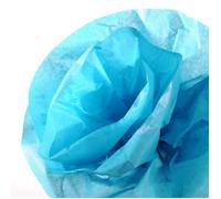 Canson-Infinity Rouleau de papier de soie 0,5 x 5 m 20 g Bleu turquoise