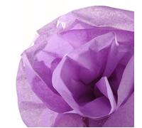 CANSON Rouleau Papier Soie 50*500 cm 20g Lilas