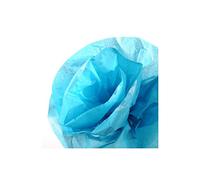 Canson-Infinity Rouleau de papier de soie 0,5 x 5 m 20 g Bleu turquoise