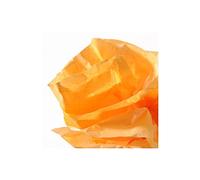Canson-Infinity Rouleau de papier de soie 0,5 x 5 m Orange