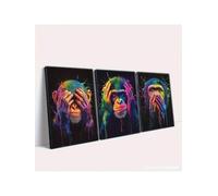 CAOXTART Impressions sur toile représentant des animaux abstraits, pour une peinture murale colorée, les trois singes de la sagesse, portrait animalier, affiche d'art, 70 x 100 cm, 3 cadres