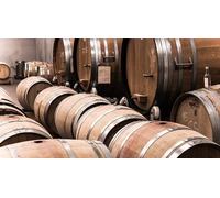 Cap Adrénaline Atelier d'initiation à la dégustation de vin à Bordeaux