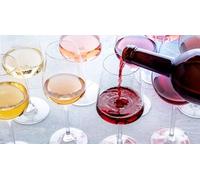 Cap Adrénaline Atelier d'œnologie et Dégustation de vins à Nice