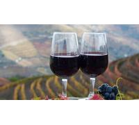 Cap Adrénaline Dégustation de vins et atelier œnologique à Toulon
