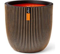 Capi Europe - Boule en pot Groove NL - Or - 54x52 - KGVGB935