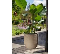 Capi Europe Pot boule Rib NL 43 x 41 cm Beige - Cache-pot design intérieur extérieur
