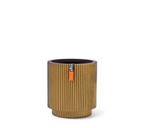 Capi Europe - Vase Cylindre Groove - 19x21 - Or - Ouverture Ø19 - Pot intérieur et extérieur - BGVGB314