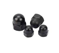 Capuchon hexagonal en acier inoxydable A2, 1/10 pièces, M3 M4 M5 M6 M8 M10 M12 noir 304 A2, tête sphérique, couvercle décoratif, écrou en dôme demi-cercle DIN1587(1pc M10)