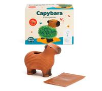 Capybara plante à faire pousser graines de chia Radis et Capucine