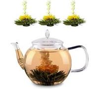 Carafe en verre - Klarstein Feelino - 800 ml - passoire à thé et fleurs de thé G