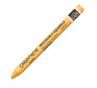 Caran d'Ache Neocolor II 031 Lot de 10 cires aquarellables pour papier, carton, verre, bois, cuir, pierre