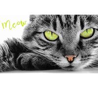 Carbotex TNL202008 Serviette de toilette en coton Motif yeux de chat 30 cm x 50 cm