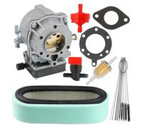 Carburateur 693480 compatible avec Briggs & Stratton 693479 499306 avec filtre à air 394019S et filtre à carburant 394358S~0518