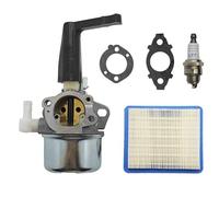 Carburateur 696065 Pour Briggs & Stratton 697422 110402 110412 215369 Carburateur De Moteur Avec Joints De Montage Kit De Filtre À Air Kit Réparation Carburateur(Set 2)