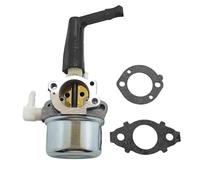 Carburateur 696065 Pour Briggs & Stratton 697422 110402 110412 215369 Carburateur De Moteur Avec Joints De Montage Kit De Filtre À Air Kit Réparation Carburateur(Set 1)