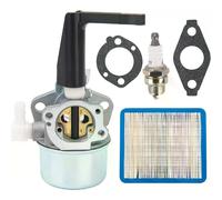 Carburateur 696065 pour moteur de motoculteur Briggs & Stratton 697422 110402 110412 215369 avec kit de joints de montage et filtre à air~0533