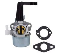 Carburateur 696065 pour moteur de motoculteur Briggs & Stratton 697422 110402 110412 215369 avec kit de joints de montage et filtre à air~0534