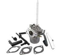 Carburateur adaptable BRIGGS & STRATTON pour modèles 20A412 20C114 20M214 - Remplace origine: 793161 796122