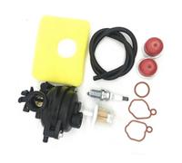 Carburateur adapté for Briggs Stratton 300E 450E 500E 550EX 500 125cc 140cc Tondeuse à Gazon 799583 593261 595656