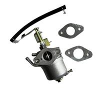 Carburateur avec Joint adapté à Toutes Les pièces de Rechange de générateur de Puissance APG3006 1050 Watts
