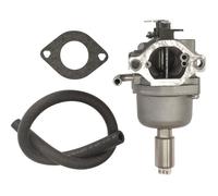 Carburateur BRIGGS ET STRATTON 591731 - 796109