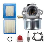 Carburateur Compatible avec Briggs & Stratton 4-7HP 799868 499059 498170 497586 498254 497314 497347 698444