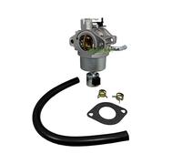 Carburateur compatible avec Briggs & Stratton B&S 31F707 31G777 31H707 31L777 / 791886 792768