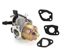 Carburateur compatible avec tondeuse Royal Einhell RPM 51 S/BG-PM 46 S/GH-PM 46/1 S