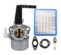 Carburateur compatible Briggs & Stratton 696065/697422 pour moteurs 5-6HP (110402, 110412, 215369) - kit