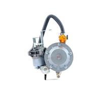 Carburateur de débroussailleuse Pièces de générateur d'essence GT241 154F, pour Moteur à Double Usage, Kit carburateur Manuel gpl, vanne régulation 30-1560KPa P15A-LPG Carburant(1)