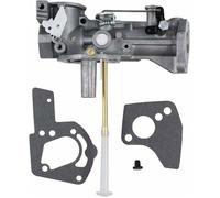 Carburateur de Rechange pour Moteurs Briggs & Stratton, S'applique à Numéro de Pièce 498298, 692784, 495951, 492611, 495426,etc。